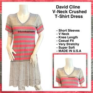 NWT David Cline V-Neck Short Sleeve T-Shirt Dress SZ Small Grey Red Stripe $119